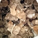 गोंद माफिया सक्रिय : केमिकल इंजेक्शन