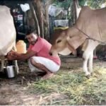 अनोखा गांव: जहां दूध बेचना मना