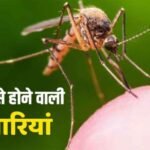 मलेरिया की खोज से शुरू हुई जागरूकता