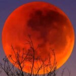 7-8 सितंबर को साल का दूसरा और भारत में