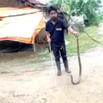 घर में निकला 5 फीट लंबा कोबरा, सर्पमित्र