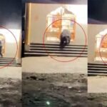 शिव मंदिर में पहुंचा भालू, घंटी बजाते वीडियो