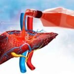 लिवर का दुश्मन – WHO ने गिनाईं 6