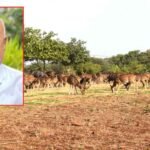 खण्डेलवाल के प्रस्ताव पर बना प्रदेश