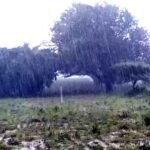 दशहरे तक MP में बारिश का दौर, नया