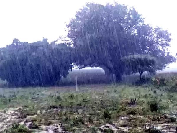 दशहरे तक MP में बारिश का दौर, नया