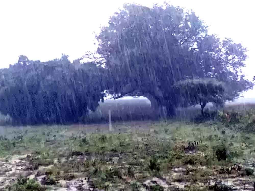 दशहरे तक MP में बारिश का दौर, नया