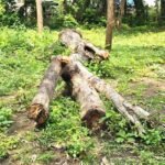 ट्रांसमिशन कंपनी के कार्यालय में