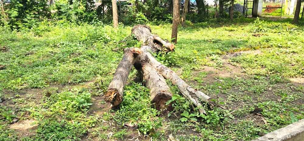 ट्रांसमिशन कंपनी के कार्यालय में