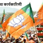ये हो सकते हैं बैतूल जिला भाजपा