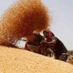 गरीबों का राशन हड़प रहे अपात्रों पर