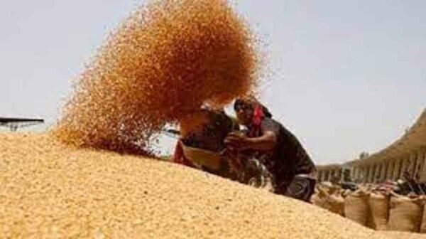 गरीबों का राशन हड़प रहे अपात्रों पर