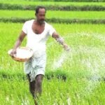 खेती का रकबा घटा, लेकिन