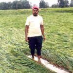 आंधी-बारिश से बर्बाद