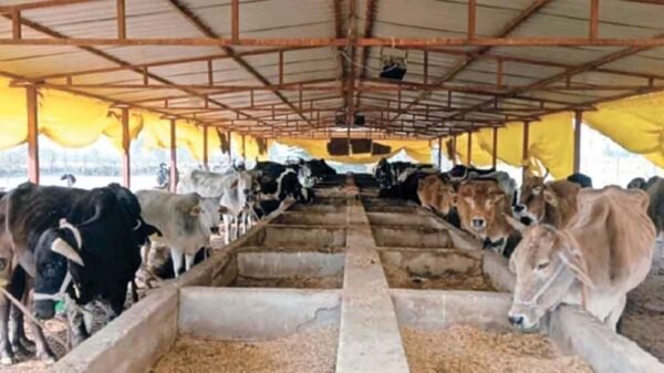 मध्यप्रदेश में धीमी रफ्तार से चल रहा नस्ल