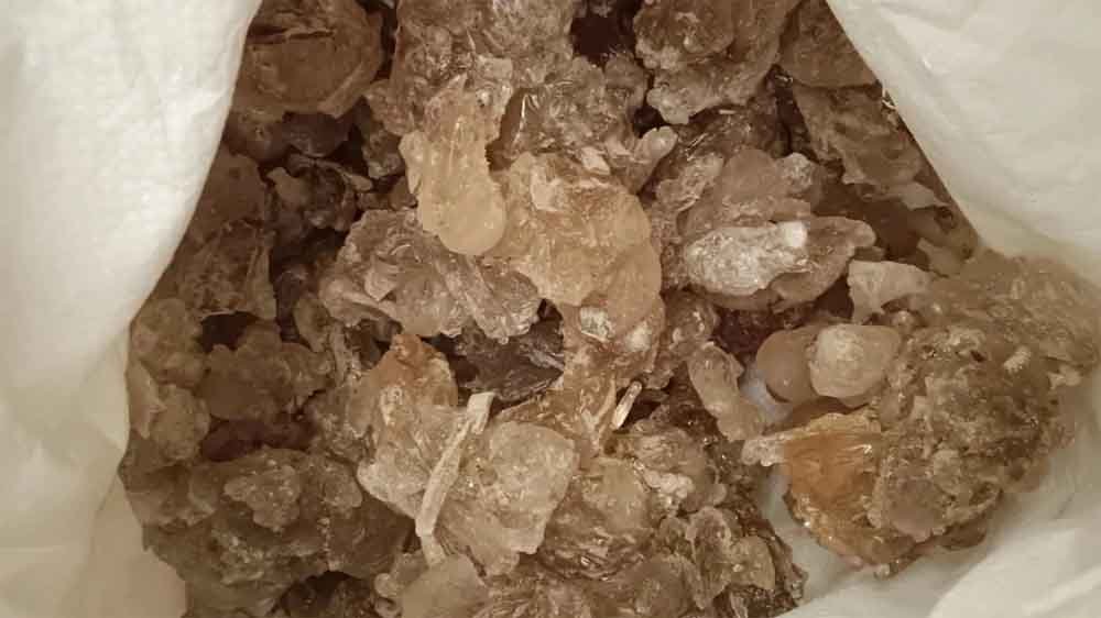 गोंद माफिया सक्रिय: इथेफोन इंजेक्शन