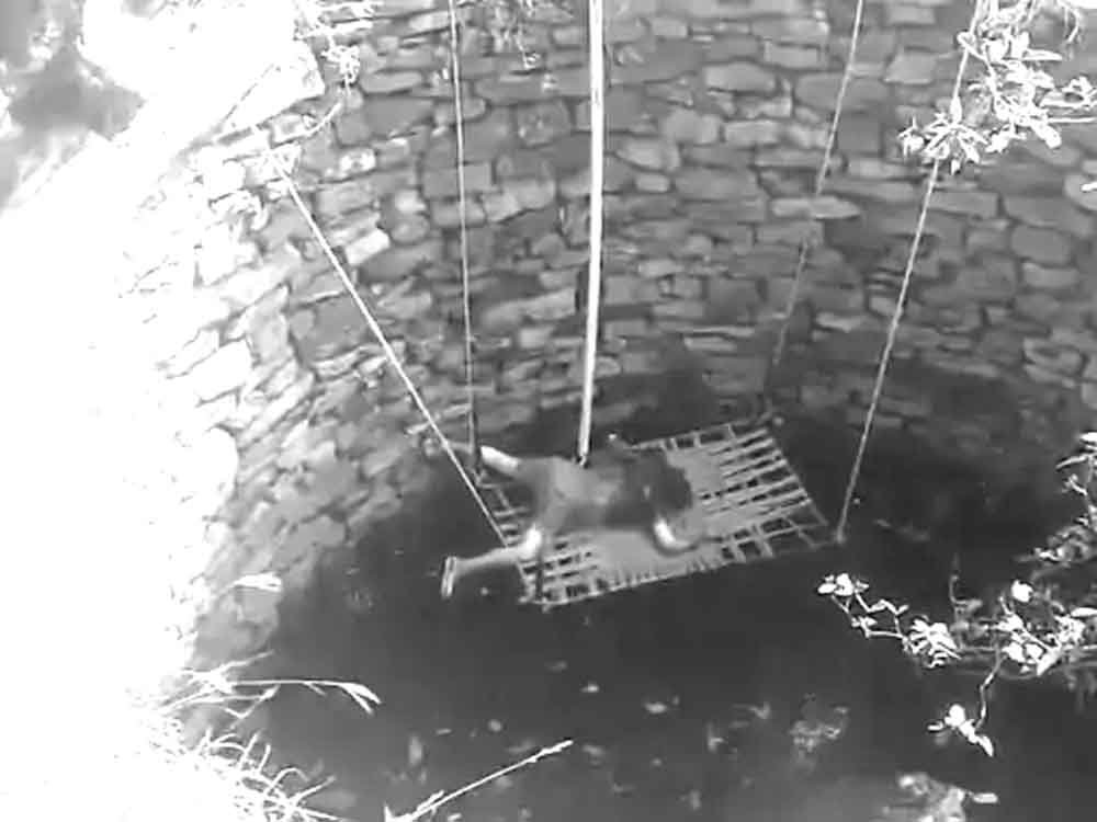 छह दिन से लापता महिला का शव कुएं