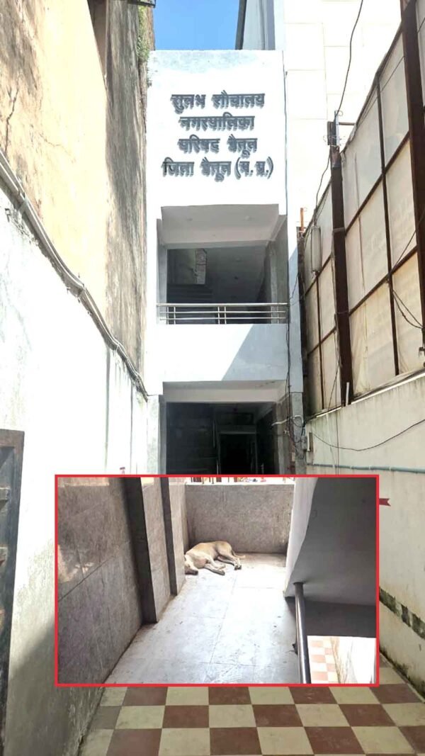 लाखों का टायलेट