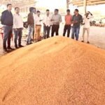 मध्य प्रदेश सरकार ने गेहूं-धान खरीदी स