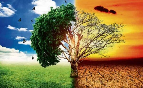 देश में जलवायु संकट चरम पर: चार