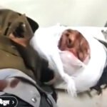 पुलिस कॉन्स्टेबल की बाइक ने दूसरी