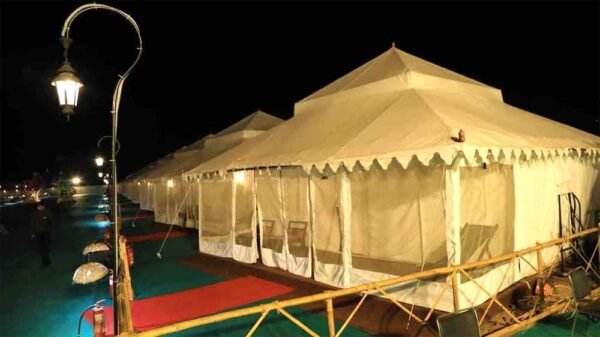 कूनो नेशनल पार्क में रोमांच फिर लौटेगा