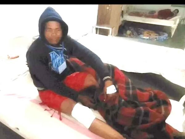 पिता-पुत्र पर भालुओं का हमला: बेटे ने आधे