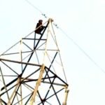 शोले सीन जैसी घटना: प्रेमिका को बुलाने की