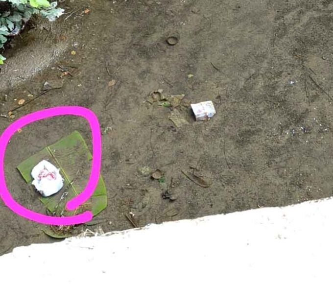 नाले में मिला नवजात शिशु का भ्रूण