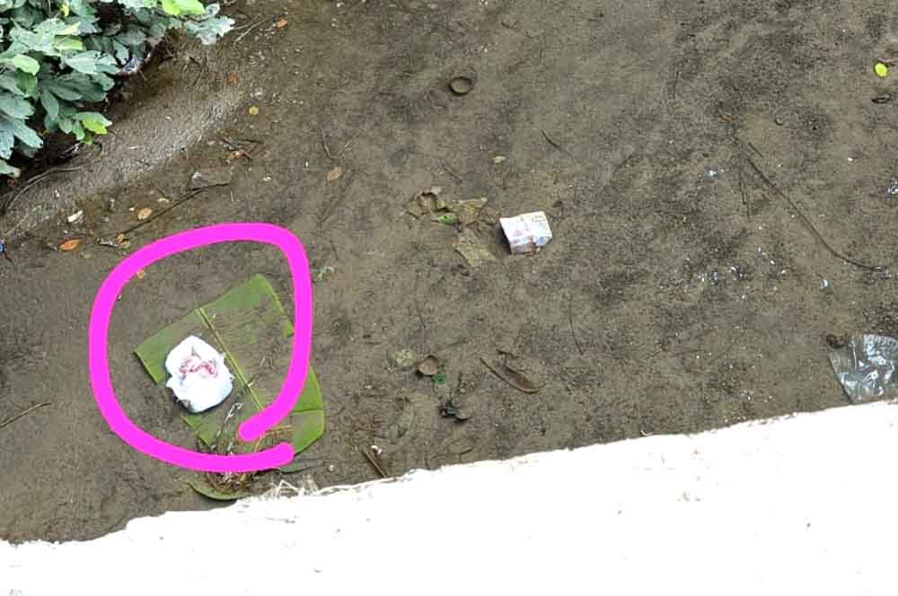 नाले में मिला नवजात शिशु का भ्रूण