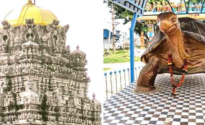 कूर्मावतार: जहां कछुए रूप में पूजे