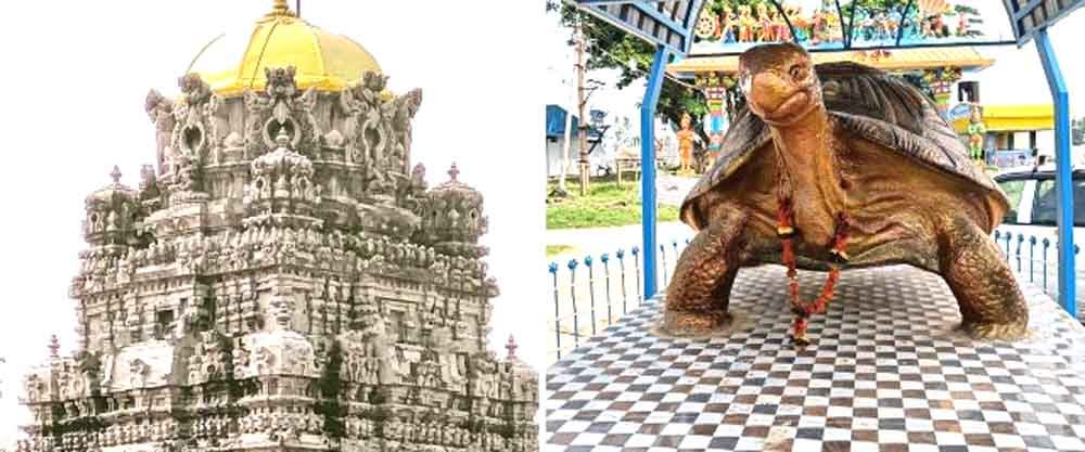 कूर्मावतार: जहां कछुए रूप में पूजे