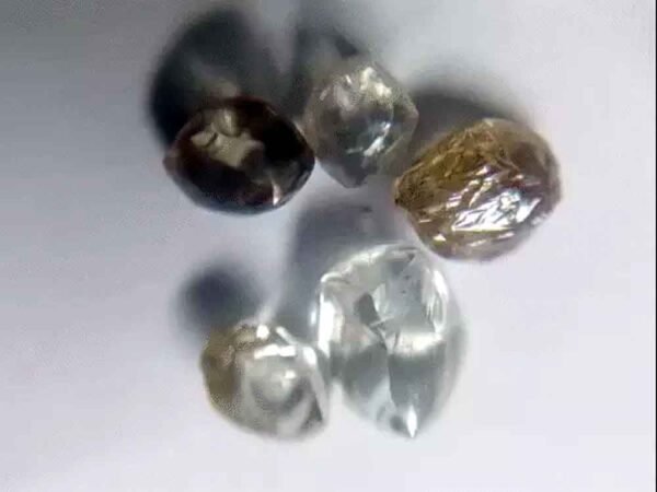 6 किसानों को मिली एक साथ 5 हीरे,