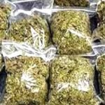 आमला पुलिस की बड़ी कार्रवाई: 1.7