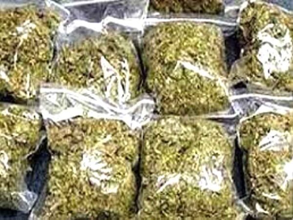 आमला पुलिस की बड़ी कार्रवाई: 1.7