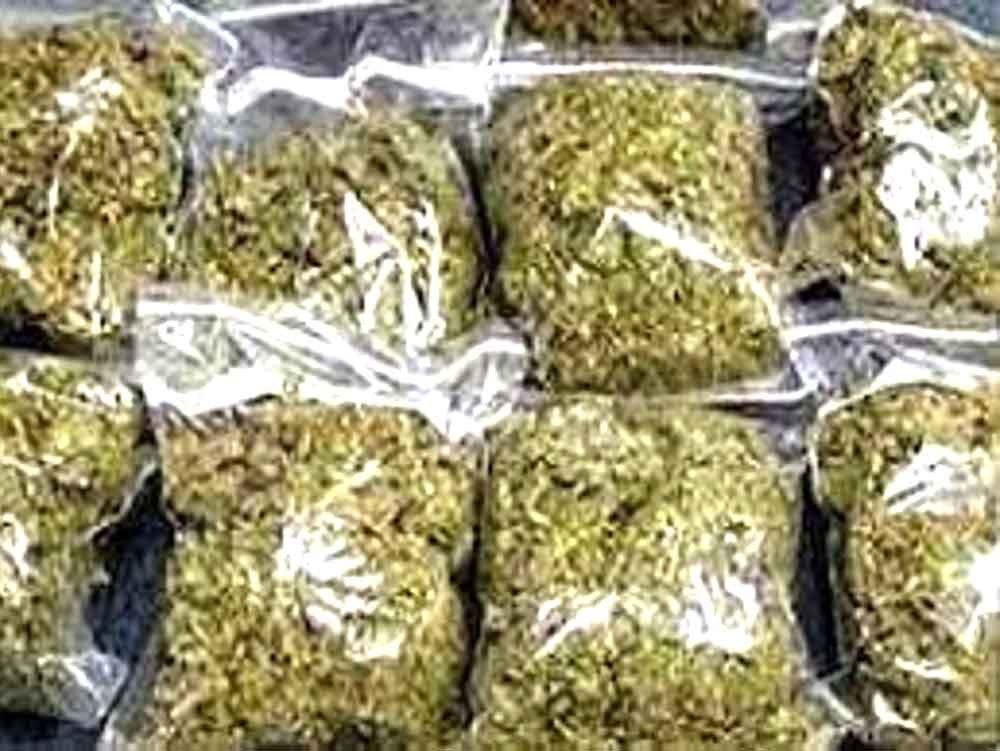 आमला पुलिस की बड़ी कार्रवाई: 1.7