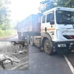 ट्राले ने मचाई तबाही — 26 भेड़ों की