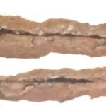 जर्जर हो गया प्राथमिक शाला कैलीढाना