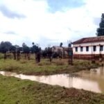 डिफेंस लैंड अतिक्रमण में मध्य प्रदेश