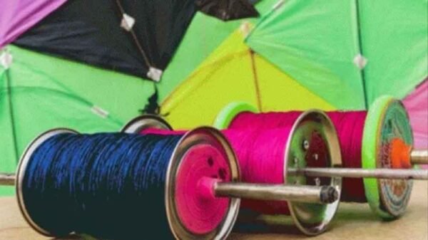 चाइनीज़ मांझे पर पूर्ण प्रतिबंध, आदेश