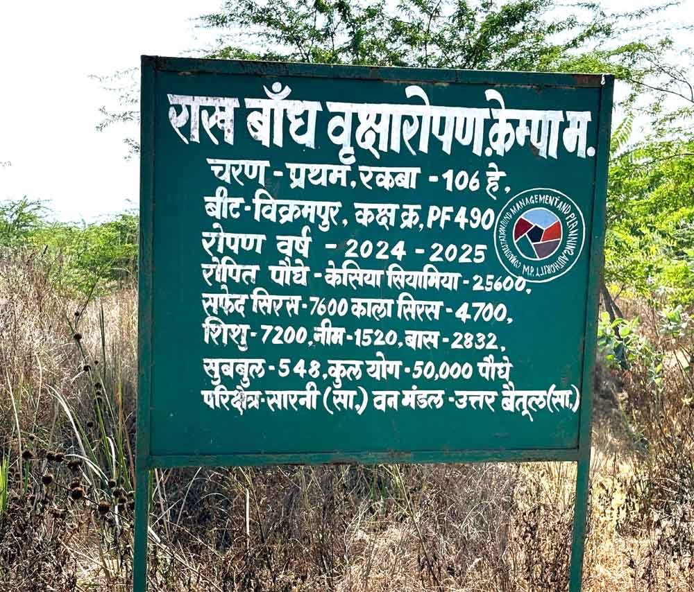 सोलर प्लांट को दी जमीन तो