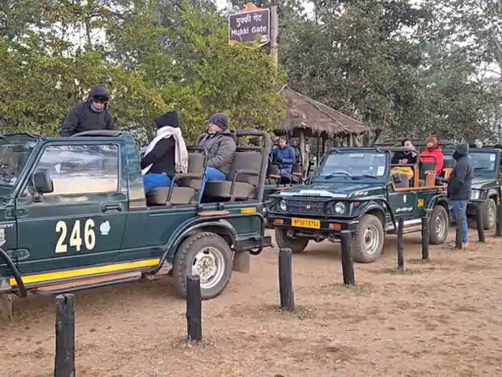 कान्हा टाइगर रिजर्व के कोर पर्यटन क्षेत्र