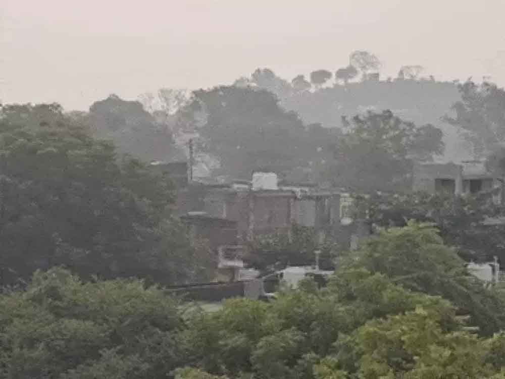 मध्य प्रदेश में सर्दी से अस्थायी राहत