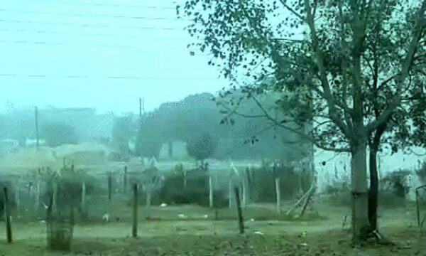 मध्य प्रदेश में फिर लौटी कड़ाके की