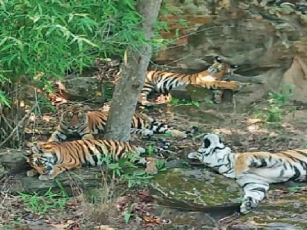 मध्य प्रदेश में बनेगा 625 किमी लंबा