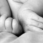 शौचालय के चैम्बर