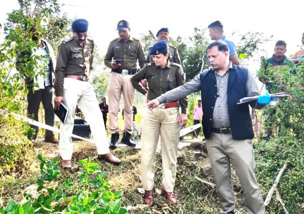 गैर इरादतन हत्या