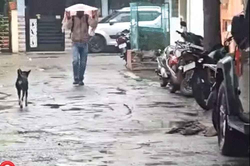 मध्य प्रदेश में 3 दिन से बदला मौसम