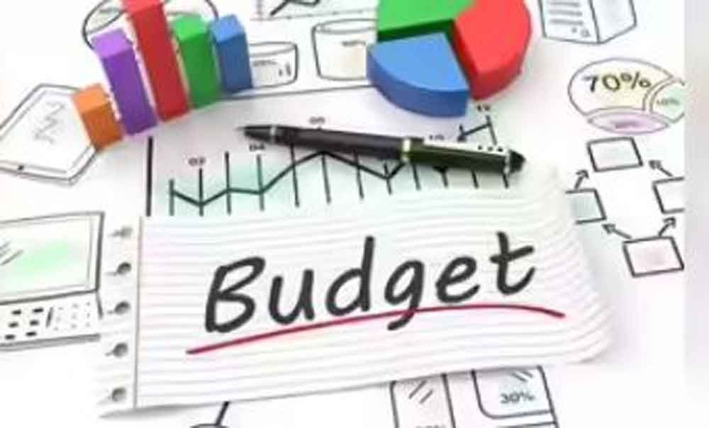 मध्य प्रदेश विधानसभा में बजट