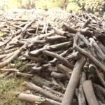 अंतिम संस्कार के लिए